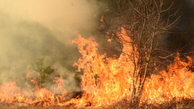 Photo of Природные катастрофы: предупреждения