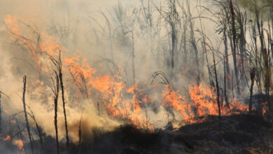 Photo of Катастрофы: последние новости