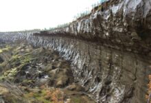 Photo of Новости экологии и климата