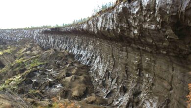 Photo of Новости экологии и климата